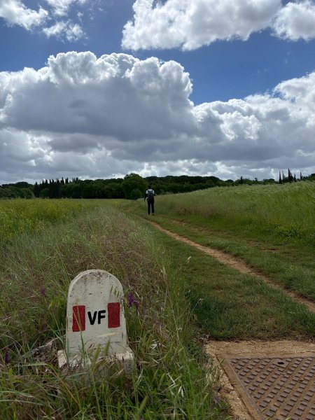 Via Francigena D2: Colle di Val d’Elsa-Monteriggio3072730