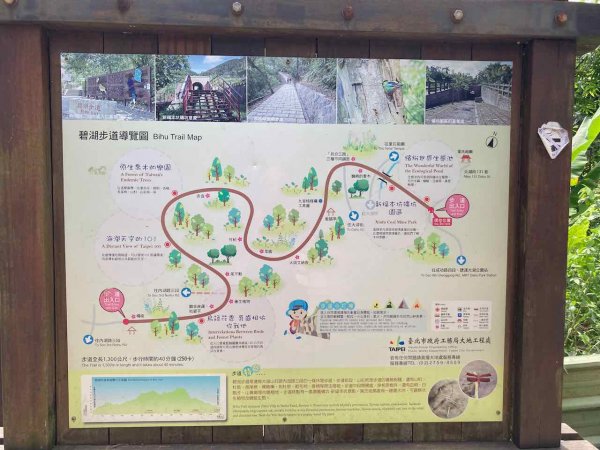 2022.09.10【臺北大縱走第五段】大湖公園-劍潭（鯉魚山、碧山巖、忠勇山、文間山、劍潭山）1839873