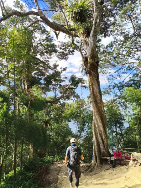 20251218溪頭鳳凰山台寅山上天文台至妖怪村買菜O繞2965595