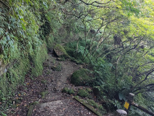 微笑山線：【二格山系】筆架連峰段2963187