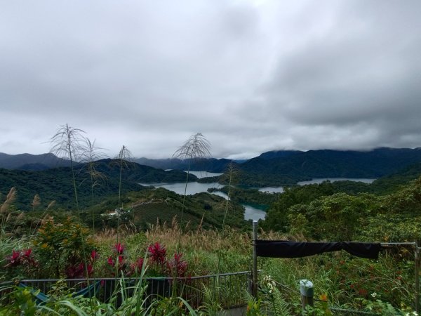 20231203 石碇鱷魚島千島湖2368163