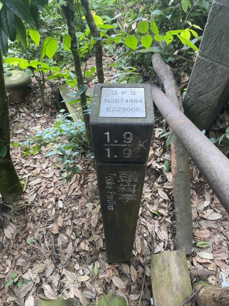頭科山(大坑4號步道)3081116