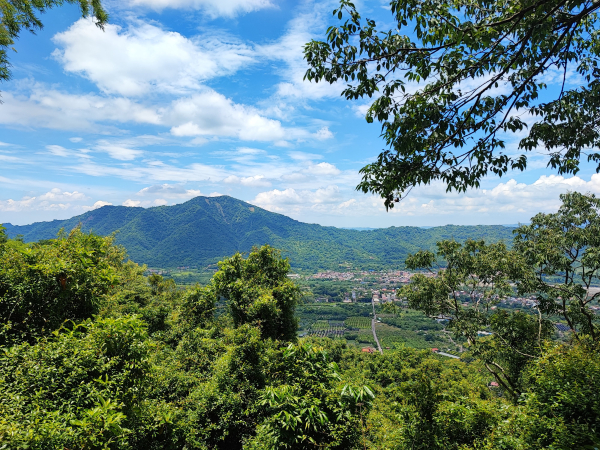 [高雄六龜][四]板埔山、塚子埔頂(塚子埔頭)、獅頭、望頭山、紅禾林山
