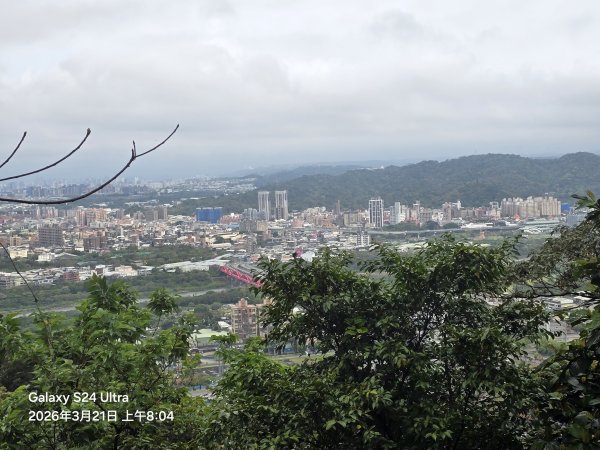 2026-03-21微笑山線：【鳶山山系】鳶山彩壁段3020430