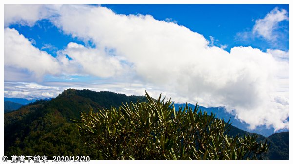 鳶嘴山之雲 稍來山之紅1215279