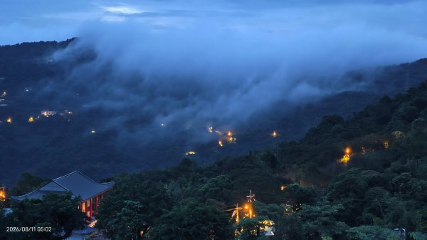 #雲瀑 #藍腹鷴 8/113101489