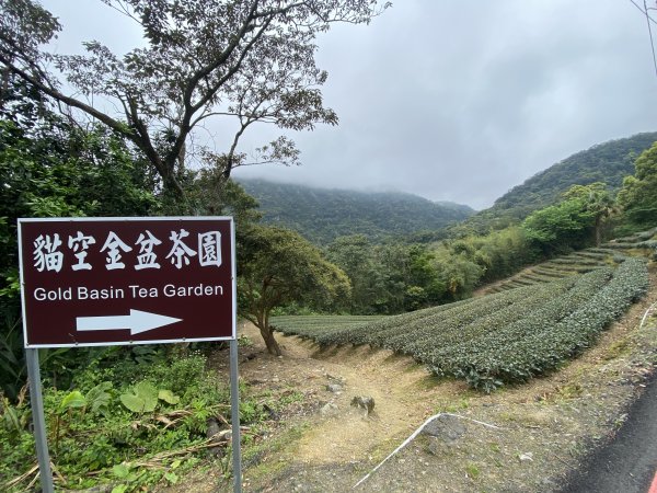 台北大縱走2026｜一天解鎖7顆寶石💎還嚕到4隻貓！第七段｜指南宮千階梯→貓空→樟湖步道→樟山寺3021801