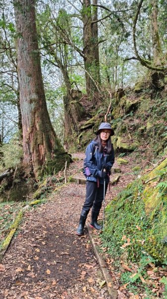 神阿縱走~台灣難抵極~大塔山2971507