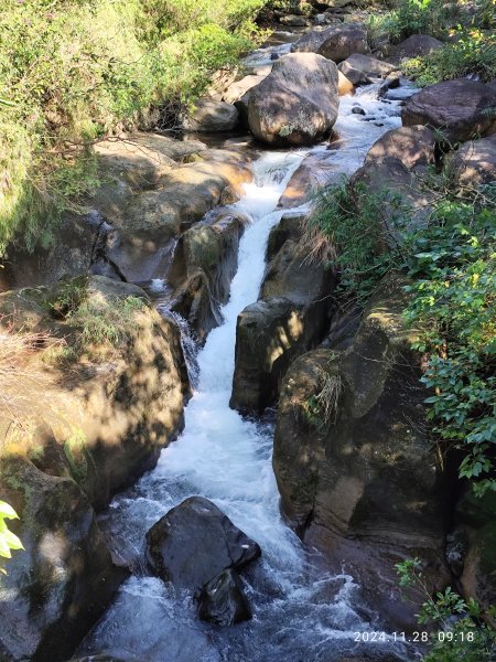 坪頂古圳環狀步道→清風亭→鵝尾山步道【走遍陽明山】2658291