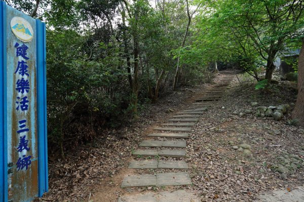 苗栗 銅鑼 三角山、長坑山、雙峰山、員屯山2456196