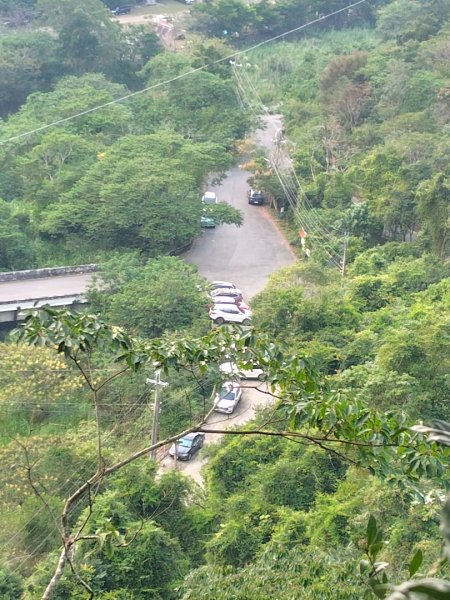 唐麻丹山 蝴蝶谷2918999