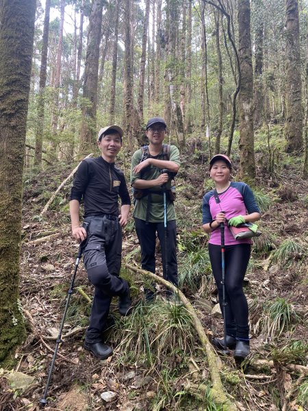 20250420古魯古道-大元山-大元國小2767400
