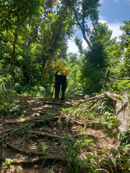 百大步道：蘭嶼大天池步道2804478