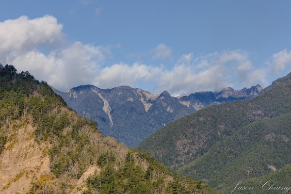 福壽山千櫻園櫻花季初開2717406