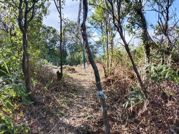 基隆市/萬里區界寮縱走之三界山+三界山西峰+開眼尖山+七分寮山+瑪七產道山泉水接水亭2979600