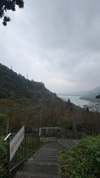 雨後2966815
