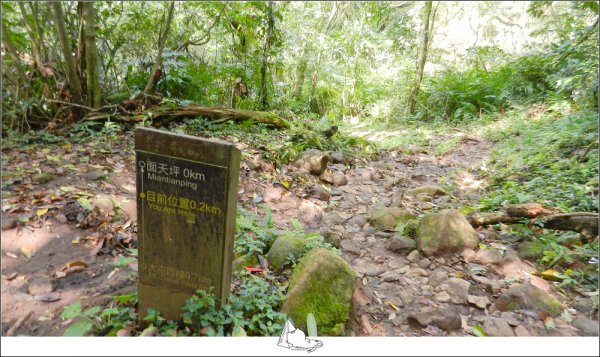 大屯山群峰步道(大屯山主峰、南峰、西峰)882655