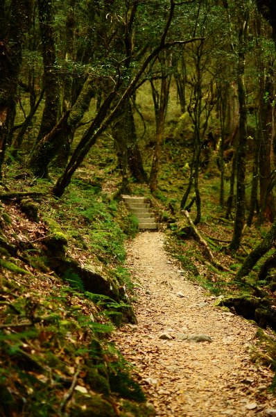 松鶴上八仙山862948