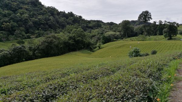 玉里鎮及赤科山之行401269