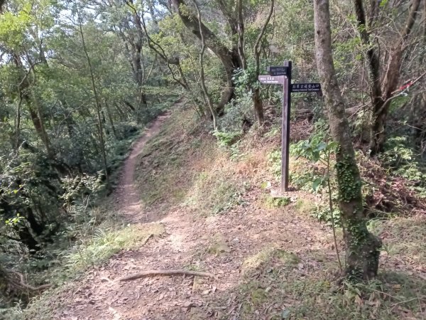 汐止區茄苳越嶺古道+上鹿窟崙山+九層坪山+四分尾山+大尖山8字走2981635