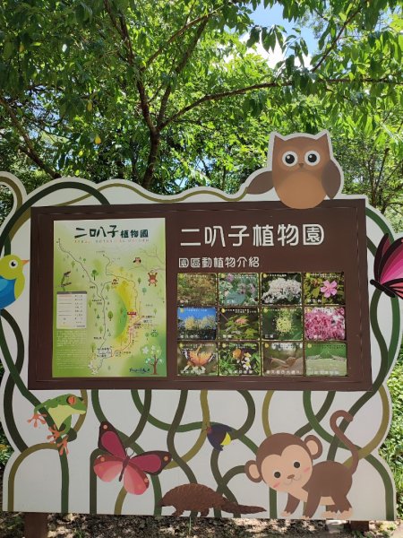 二趴子植物園2218630