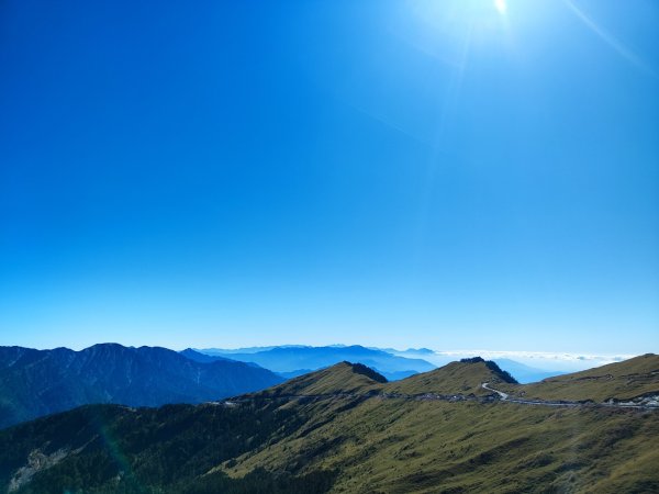 單攻志佳陽2725293