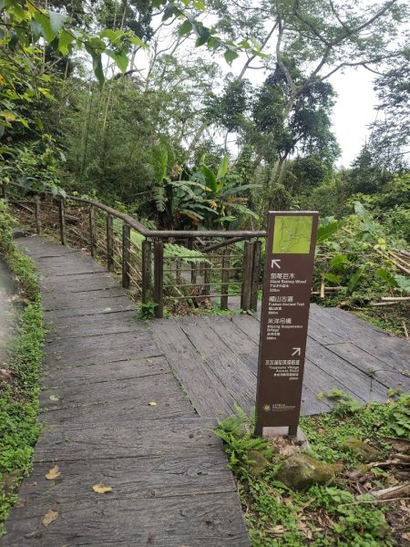 迷糊歩道&福山古道3107049