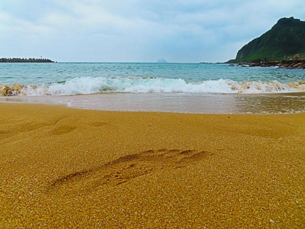 搭著公車去旅行：情人湖、海興路森林步道583126