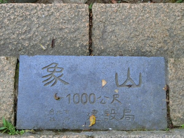 城市裡就能感受山林綠意~象山親山步道778681