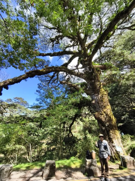 [玉山尋寶任務-09/12] 2025_0928 麟趾山步道2899883