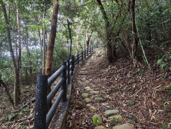 [皮皮獅動物派對-03/10] 2026_0822 石光古道(老虎山步道)3120800