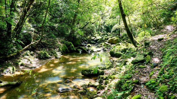 畝畝山。又上說2768147