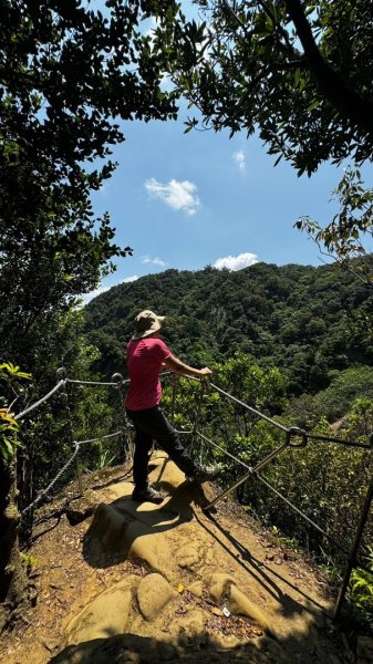 孝子山、普陀山、慈母峰賞鹿子野百合O走2592928