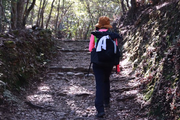 熊野参詣道中辺路：雲取越に祈りは続く2925777