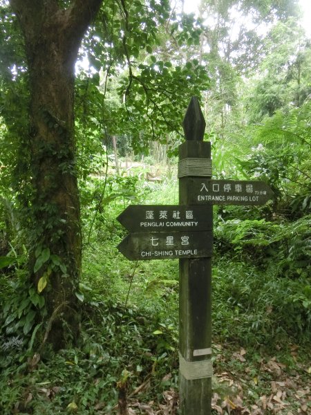 仙山．蓬萊溪護魚步道452562