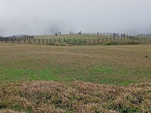 擎天崗環形步道、冷擎步道《擎天崗3山、1潛堡、6圓堡健行巡禮》【走遍陽明山】2081654