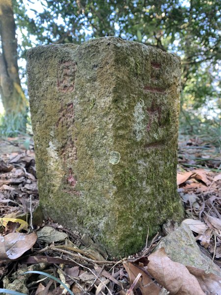 20250228屏東達洼蘭山-下達洼蘭山2732878