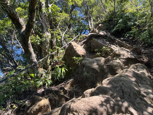 [微笑山線_第九段] 2025_0914 二格山系_皇帝殿東峰2889516