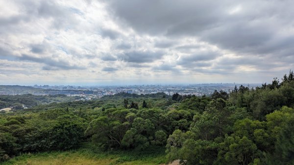 大古山登山步道2365635