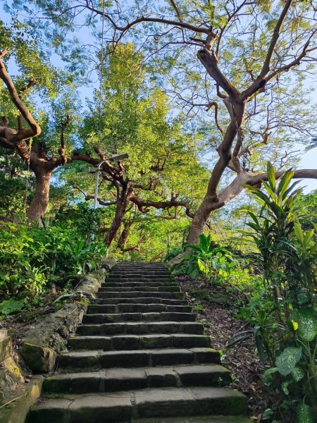 天母古道-翠峰.半嶺.松溪瀑布-紗帽山2655467