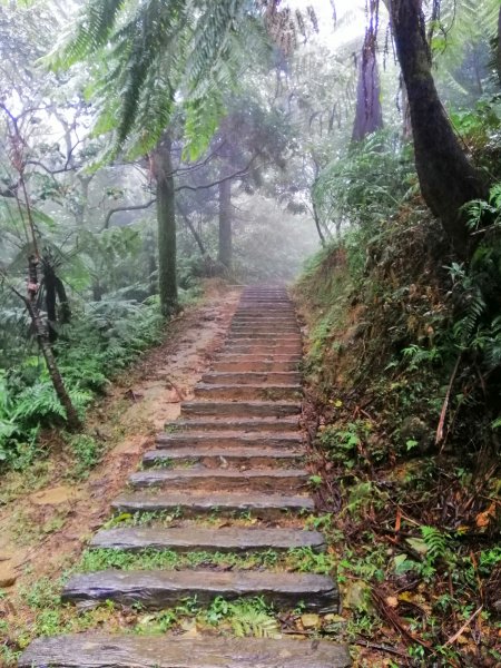 基隆七堵~雨霧中散步。 #小百岳姜子寮山867750