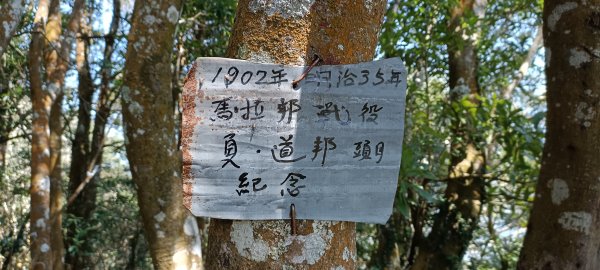 20220312_馬那邦山 細道邦山南峰 細道邦山1637079