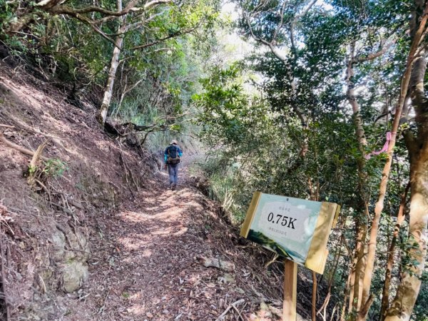 1140824司馬庫斯觀霸步道-賞楓步道2871103