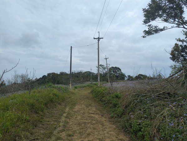 2025.02.27－月眉山2727896