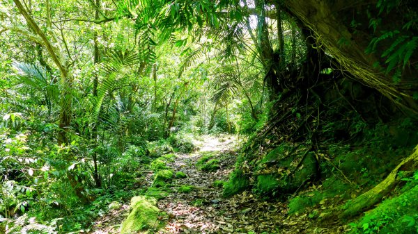 畝畝山。又上說2768164