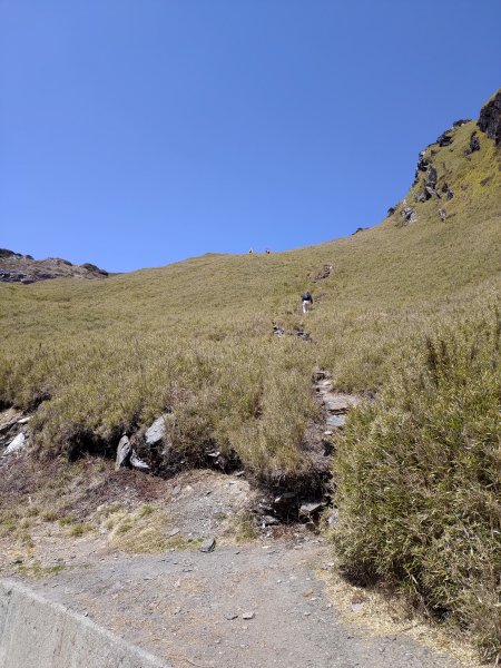 合歡山主峰1319127