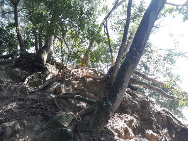 台中大坑步道7上6下20181027444580