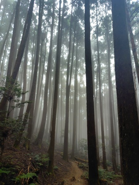 長壽山、肥崠山、醜崠山、大崠山、大崠山經建版2931612