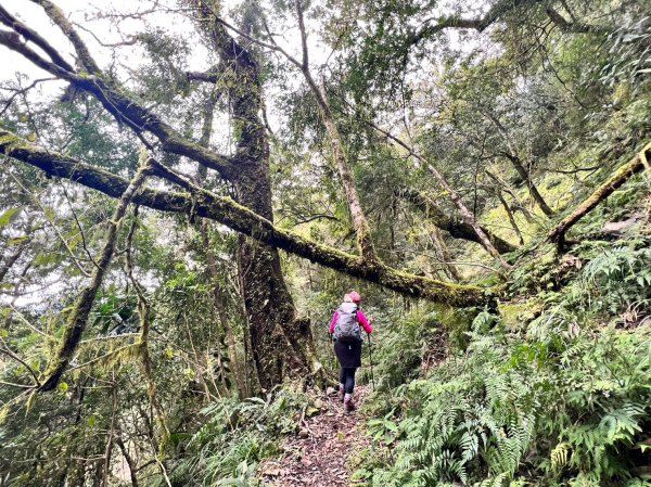 福巴越嶺國家步道2364491