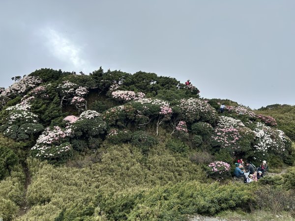 合歡東峰3057027